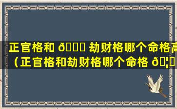 正官格和 🐟 劫财格哪个命格高（正官格和劫财格哪个命格 🦁 高一些）